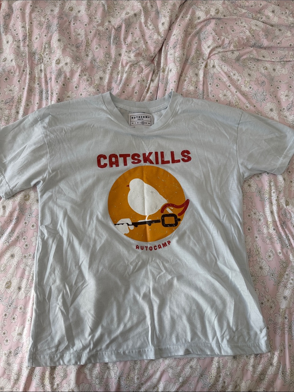 Catskills Graphic Tee - Light Blue